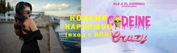 молекула духа Арсеньев