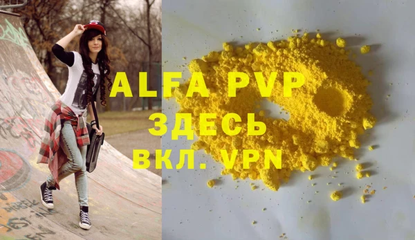 молекула духа Арсеньев