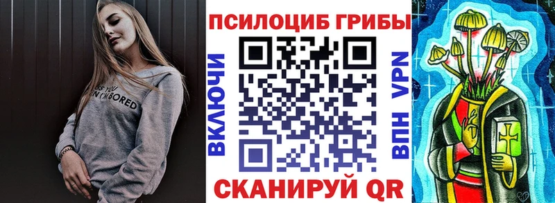 магазин продажи Асино Псилоцибиновые грибы Magic Shrooms